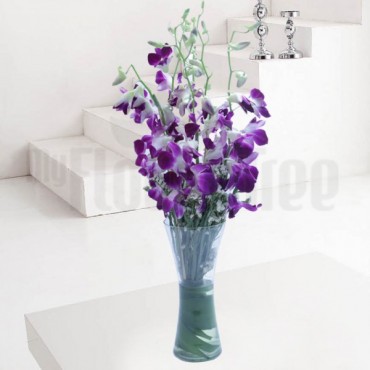 Purple Orchids In Glass Vase